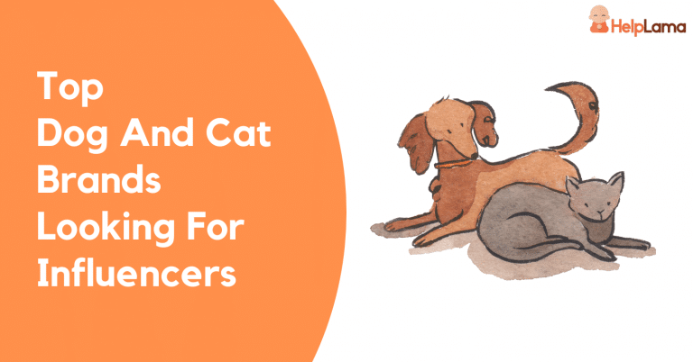 Feature-image-Dog & Cat Brands looking for Influencers