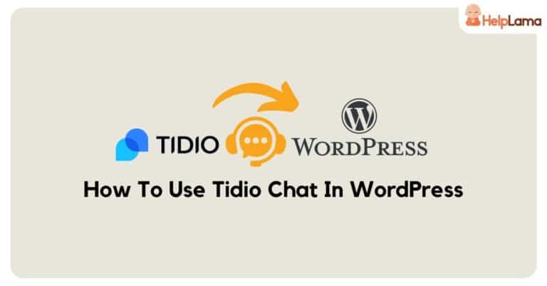 how to use tidio chat in wordpress